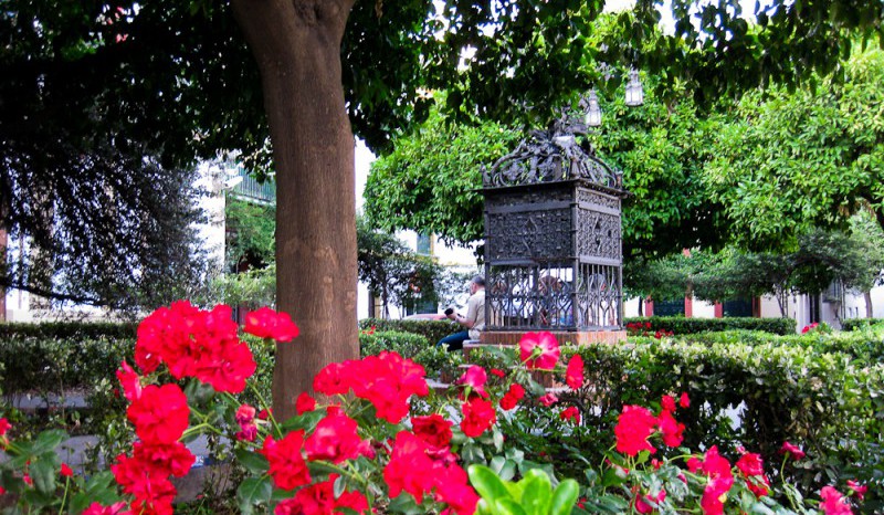 Plaza de Santa Cruz, Sevilla