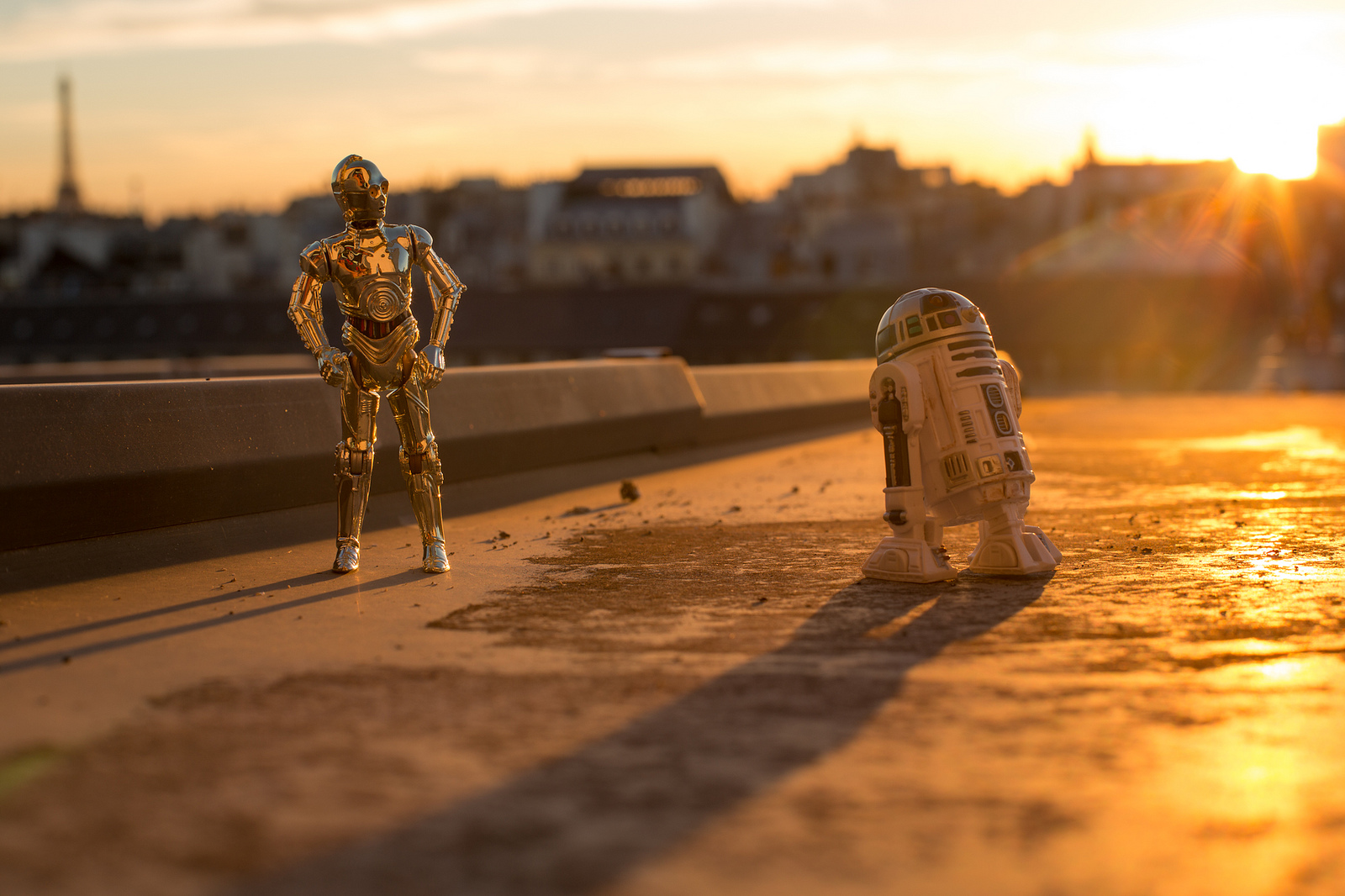 7804045606_14173cb9d7_h